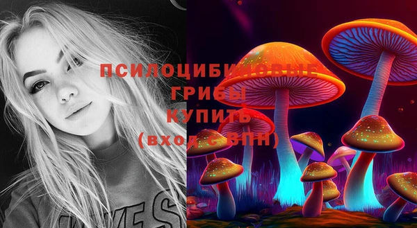 сатива Армянск