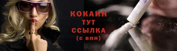 сатива Армянск
