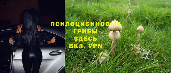 а пвп мука Арсеньев