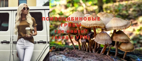 сатива Армянск