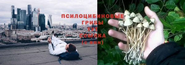 а пвп мука Арсеньев