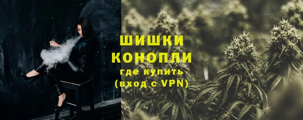 сатива Армянск