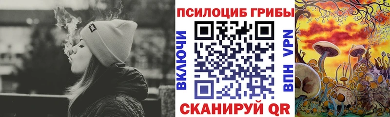 blacksprut   Орлов  Псилоцибиновые грибы Psilocybine cubensis 