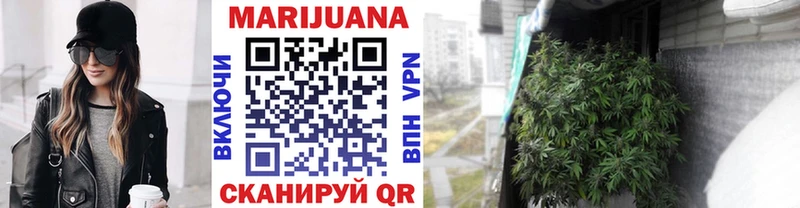 МЕГА ссылка  купить наркотики сайты  Орлов  Каннабис сатива 